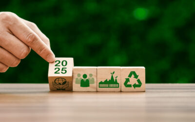 CSRD-rapportage: Transparantie als springplank naar duurzaam succes